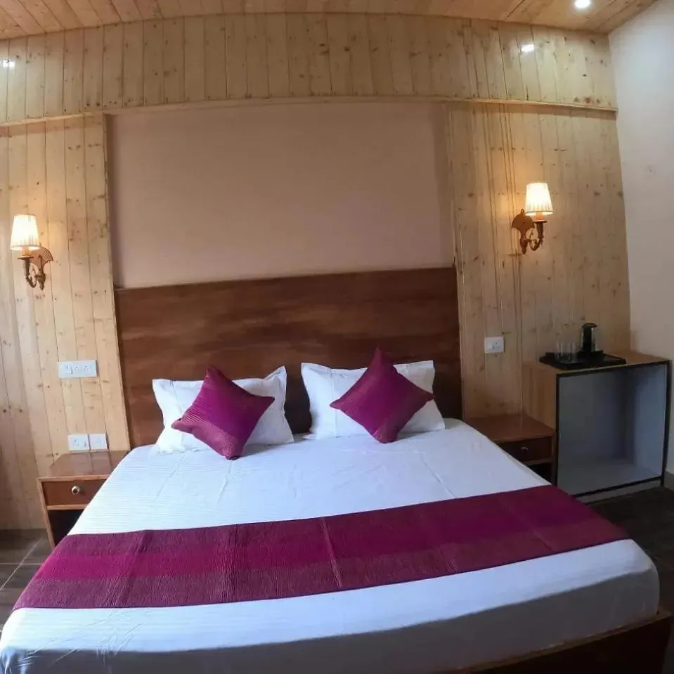Surya Palace Hotel New Delhi