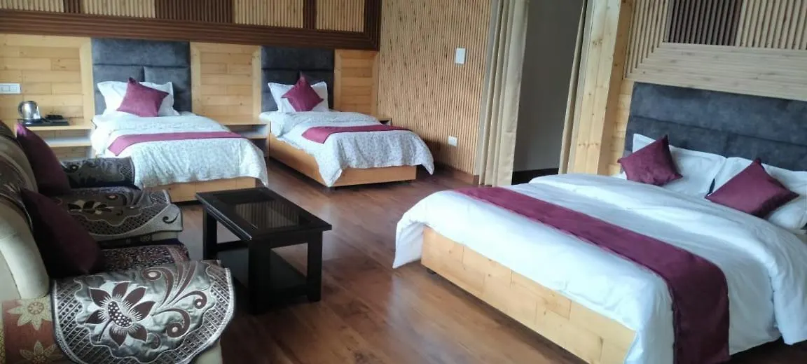 Surya Palace Hotel New Delhi India